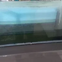 آکواریوم و اکسیژن ساز|ماهی|زابل, |دیوار