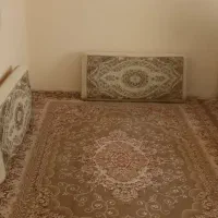 ۲عدد فرش ۶متری جفت