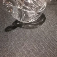 خانه و آشپزخانه