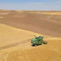 کمباین فروشی مدل 93شروع به کار94