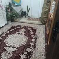 اجاره ویلا ماسال|اجارهٔ کوتاه‌مدت آپارتمان و سوئیت|ماسال, |دیوار