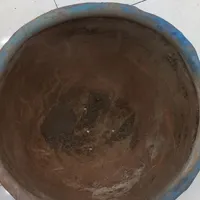 گلدان سفالی|گل و گیاه طبیعی|ماهدشت, |دیوار