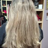 موی طبیعی|آرایشی، بهداشتی، درمانی|نظرآباد, مصطفی آباد|دیوار