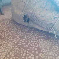 فرش ۱۲متری|فرش|کنگاور, |دیوار