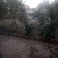 300 متر زمین داخل بافت روستایی|فروش زمین و ملک کلنگی|مشهد, لقمانی|دیوار