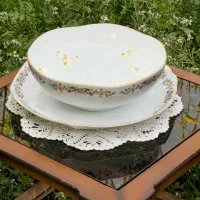 ست پذیرایی دو تیکه چینی زرین