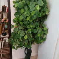 درخت سیب مصنوعی|گل مصنوعی|ارومیه, |دیوار