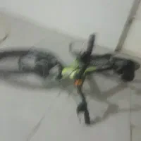 دوچرخ|دوچرخه، اسکیت، اسکوتر|اندیمشک, |دیوار