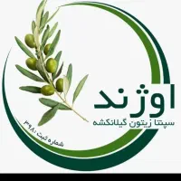 استخدام بانوان،حیطه کاری زیتون،پاره وقت و تمام وقت|استخدام اداری و مدیریت|کرج, شیخ آباد|دیوار