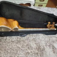 تار سنتی|سازهای سنتی|تهران, ابوذر|دیوار