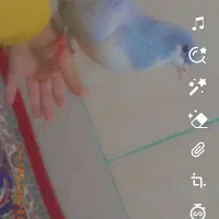 کفتر|پرنده|مشهد, بهمن|دیوار