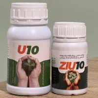 U10  راه حل حرفه ای برای مشکلات گیاهان آپارتمانی