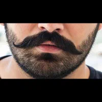 از نو بساز ریشاتو