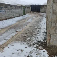 زمین دو نبش ۵۰۰ متری در روستای زیبای زین‌آباد امند|فروش خانه و ویلا|صوفیان, |دیوار