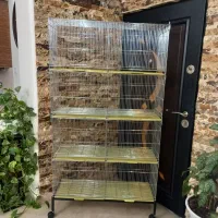 قفس جوجه پران پرون  هشت خان قناری عروس هلندی فنچ