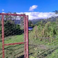 ۷۰۰ متر خانه و محوطه|فروش خانه و ویلا|لیسار, |دیوار