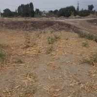 یک قطعه زمین  فروشی|فروش زمین و ملک کلنگی|نوکنده, |دیوار