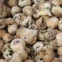 فروش خشکبار|خوردنی و آشامیدنی|داراب, |دیوار