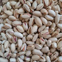 پسته اکبری|خوردنی و آشامیدنی|قم, شهر قائم|دیوار