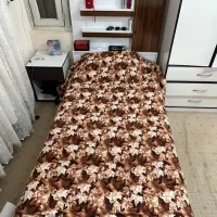 تخت خواب تک نفره وتخت خوتب نوجوان وکمد|تخت و سرویس خواب|سبزوار, پاسداران|دیوار