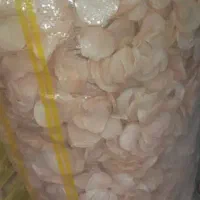 سیر و موسیر همدان|خوردنی و آشامیدنی|تهران, مطهری|دیوار