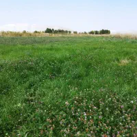 زمین کشاورزی مناسب باغ و ویلا گجوت