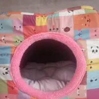 جای خواب برای سگ وگربه