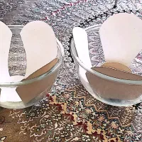 دو عدد کاسه شیشه ای نو