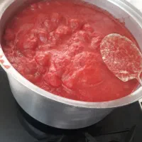رب خونگی|خوردنی و آشامیدنی|تهران, تهران‌نو|دیوار
