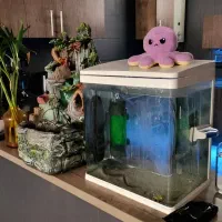 دوعدد اکواریوم زیر قیمت