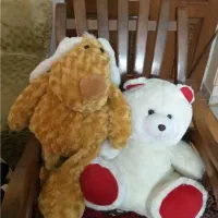 عروسک کالسکه باربی ...|اسباببازی بچه|تهران, امیریه|دیوار