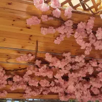 راهنمایی گردش