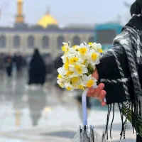 پاییز امسال تور مشهد با قیمت‌های ویژهو اقامت متنوع