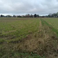 زمین کشاورزی