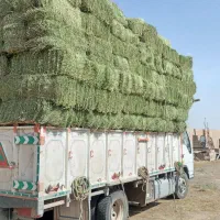 خرید وفروش  نهاده دام