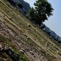 زمین