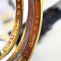 بنگل کارتیر اورجینال تمام استیل رنگ ثابت عمری|بدلیجات|خمینی‌شهر, |دیوار