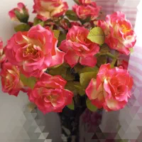 کتری روحی آلومینیومی ۵لیتری نو و تعدادی گل|حراج|آبیک, |دیوار