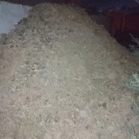 یه ماشین کود حیوانی گاو