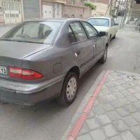 سمند خاکستری