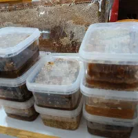 عسل طبیعی|خوردنی و آشامیدنی|شیراز, شاهچراغ|دیوار