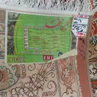 دو تخته فرش ۱۲ متری ۵۰۰ شانه|فرش|آمل, |دیوار
