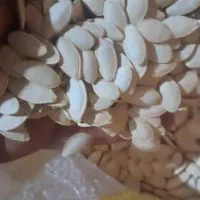 تخمه و مغز بادام بو داده تازه با فروش عمده و خرده|خوردنی و آشامیدنی|اصفهان, بهارستان|دیوار