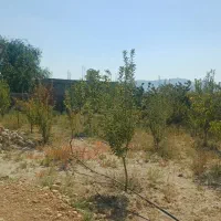 زمین-مسکونی-سپیدان-هماشهر-دالین