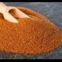 خاکشیر تازه امسال