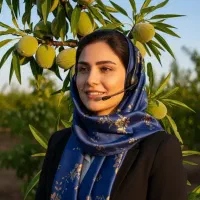 فروش نهال های سه ساله با کیفیت