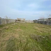 زمین  بر آسفالت دور دیوار دو پلاک ۲۵۰ متری