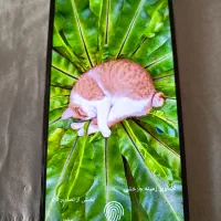 poco m6 pro 256 rom8