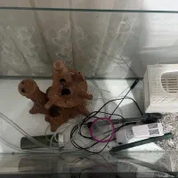 آکواریوم ماهی