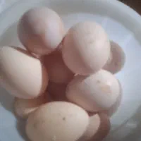 تخم مرغ محلی 25عدد